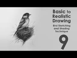 How to draw bird🐦 | Beginner to Advanced Pencil Drawing & Shading - Class 08
