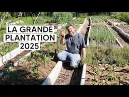 L'état du potager une semaine après la grêle (La grande Plantation 2025)