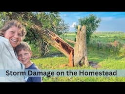 Unpredicted Storm hits the Homestead