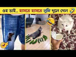 পশু পাখির মজার কান্ড ক্যামেরায় ধরা পড়া | Funny Animal Videos 2025 😂 - Funniest Dogs And Cats P-102
