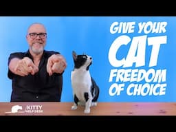 Give Your Cat Freedom of Choice