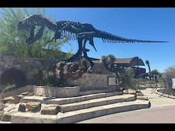 Museo del Desierto en Saltillo Coahuila Mexico / Desert Museum in Saltillo Coahuila Mexico
