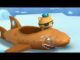 Octonauts, Series 3, Humpback Whales || BBC 2020
