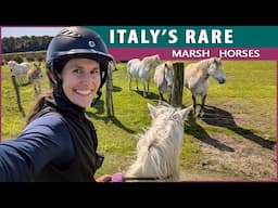 Riding the Rare Delta Horse in Italy