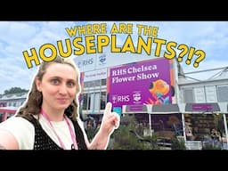 Chelsea Flower Show… But Make It Indoor Plants Only
