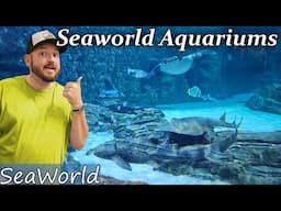 Ranking all the Aquariums at Sea World. Which One is Best?