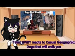 Team RWBY reacts to Casual Geographic: Dogs that will walk you