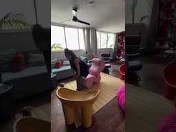 Sims home tour