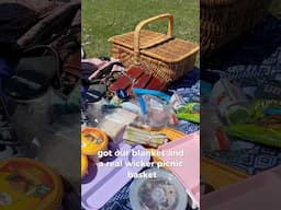 Day 11/30 of Trying Something New - A Craft Picnic!