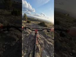 Long Live Plus Tires #mtb #biking