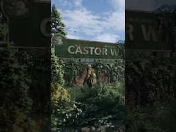 Welcome to Castor Woods, where every detail tells a story of survival!  #dyinglightthebeast