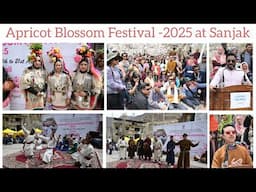 Apricot Blossom Festival 2025 commences in Sanjak, Kargil