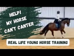 Fix These Mistakes in Your Horse's Canter