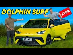 Shock BYD Dolphin Surf - I Can't Believe How Good Value It Is