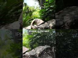 Can My Phone Beat a Real Camera for Vlogs in 2025?