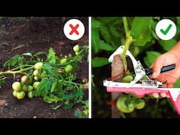 Save Your Harvest with These AMAZING Garden Gadgets!
