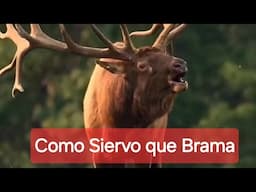 Salmo 42, clama por ti oh Señor el alma mía.. #biblia #Jesús #musicacristiana