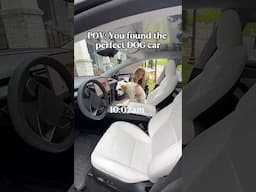 Our Puppy Loves Driving #selfdriving