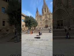 #BarcelonaCathedral is a MUST-SEE! Here’s Why… #BarcelonaTravel