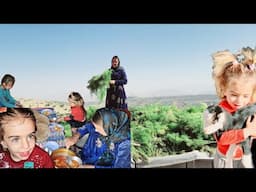 Nomadic Life in the Mountain Breeze: From Gathering Josheer to Parvaneh’s Traditional Cooking.