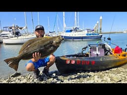 HUGE Halibut Hooked in Clear Water 5ft Deep
