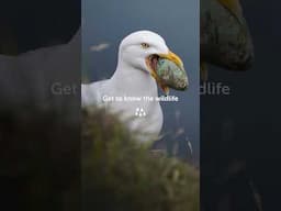 How to take better wildlife photos on holiday #ResponsibleTravel #WildlifePhotography