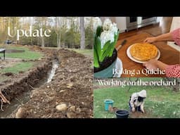 Barn Build Update | Planting apple trees and baking a quiche