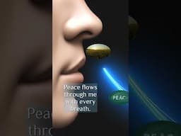 Breath in Peace with Every Breath