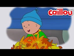 Caillou's Leaf Pile | Caillou - WildBrain | Learning for Children