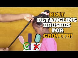 The Best Detangling Brush for Length Retention! 🖤 Which One is Right for You?