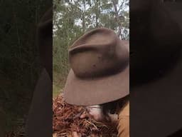 Using Tinder Fungi in the Australian Bush.