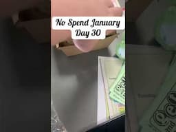 No Spend Challenge - Day 30