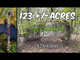 123 Acres Alabama Land For Sale Seclusion for Family Compound