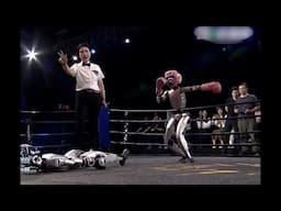 When Robots Try Kickboxing - Chinese Robotics Tested