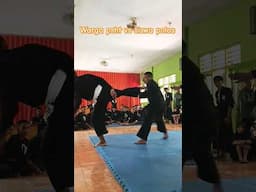 warga vs siswa polos #psht #pencaksilat #shorts #silat #martialarts #shortvideo #ytshorts