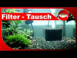 Umstellung bei den Zwerggarnelen - Einsatz von Soil als Filtermedium - Aquaristik