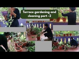Terrace gardening and cleaning part-2/terrace garden/indoor plants care