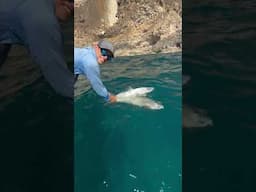 Double milk 🥛🎣🇴🇲