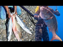 Living From The Ocean | Deep Diving And Spearfishing For Food - Catch & Cook