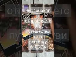 вислобокова отправляется за решётку