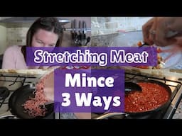 Family Meals that Stretch - 3 Meals from Only 1 Package of Mince!