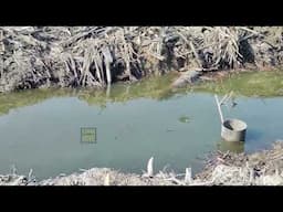 PART 18 EXCAVATOR SUMITOMO S2801 CUCI HUTAN PAYA NIPAH