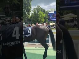 Les Kretz en famille pour le Prix de Diane Longines 🐎💚