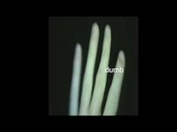 Sipper - Dumb