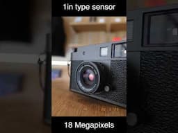 Fujifilm X half Quick look!