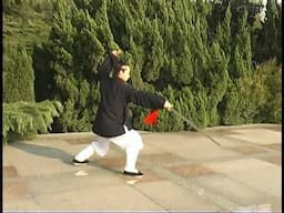 太极剑正面演练---Performing  Taiji Sword  | Front view | Master Chen