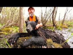 Hunt, Eat Delicious WILD CANADIAN BLACK BEARS (emotional) - PRIMITIVE CAVEMAN STONE COOKING!