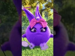 Seesaw - Sunny Bunnies Full Episode #shorts #sunnybunniescartoon