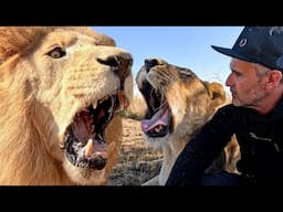 Not Much Time Left with My LION FAMILY | The Lion Whisperer