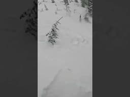 Surprise Avalanche. #avalanche #skiing  #mountains #ski #pov #powderskiing #beats #music #almostdied